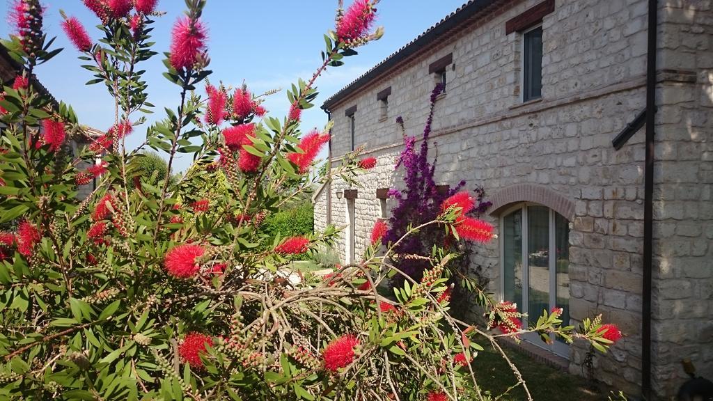 سيرولو Valcastagno Relais & Residence المظهر الخارجي الصورة